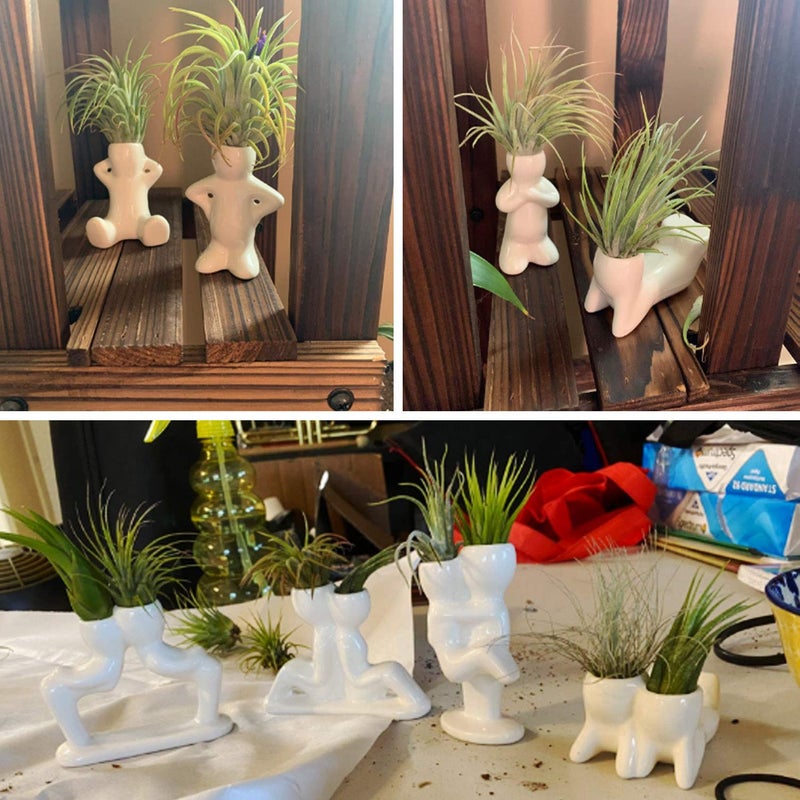Together-life 4 Pack Ceramic Air Plant Holder, Cute Air Planter Table Top Display Planters for DIY Planting Home Office Decoration Supplies - Image 5